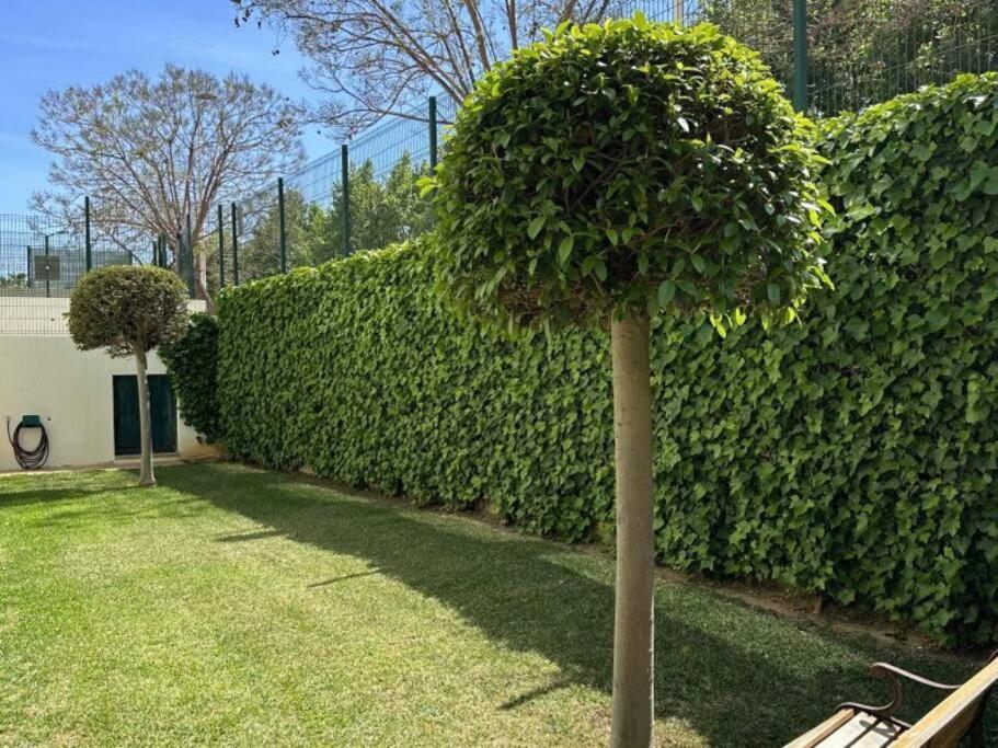 Three Bedroom Apartment, Prime Javea Location Buitenkant foto